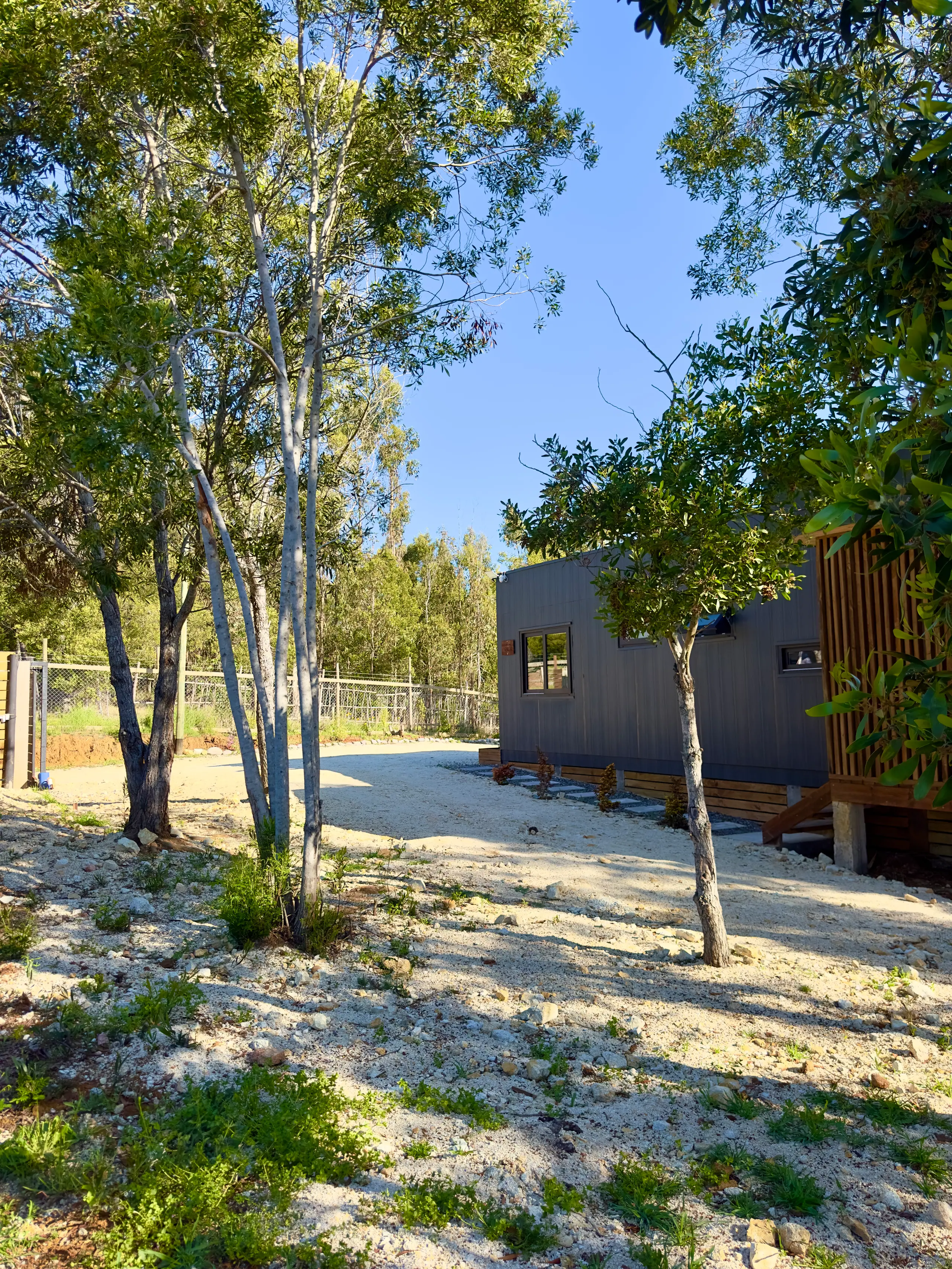 Camino de maicillo y árboles frente a una cabaña